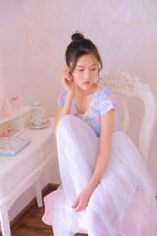 警花情妇王菲